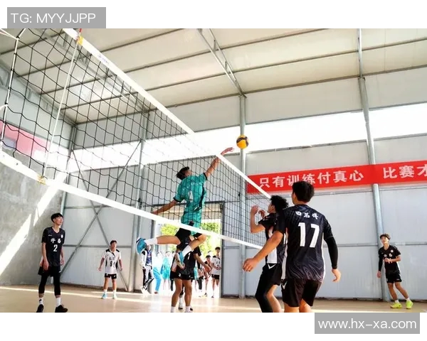 排球盛宴：深入成都排球队的默契与协作之道